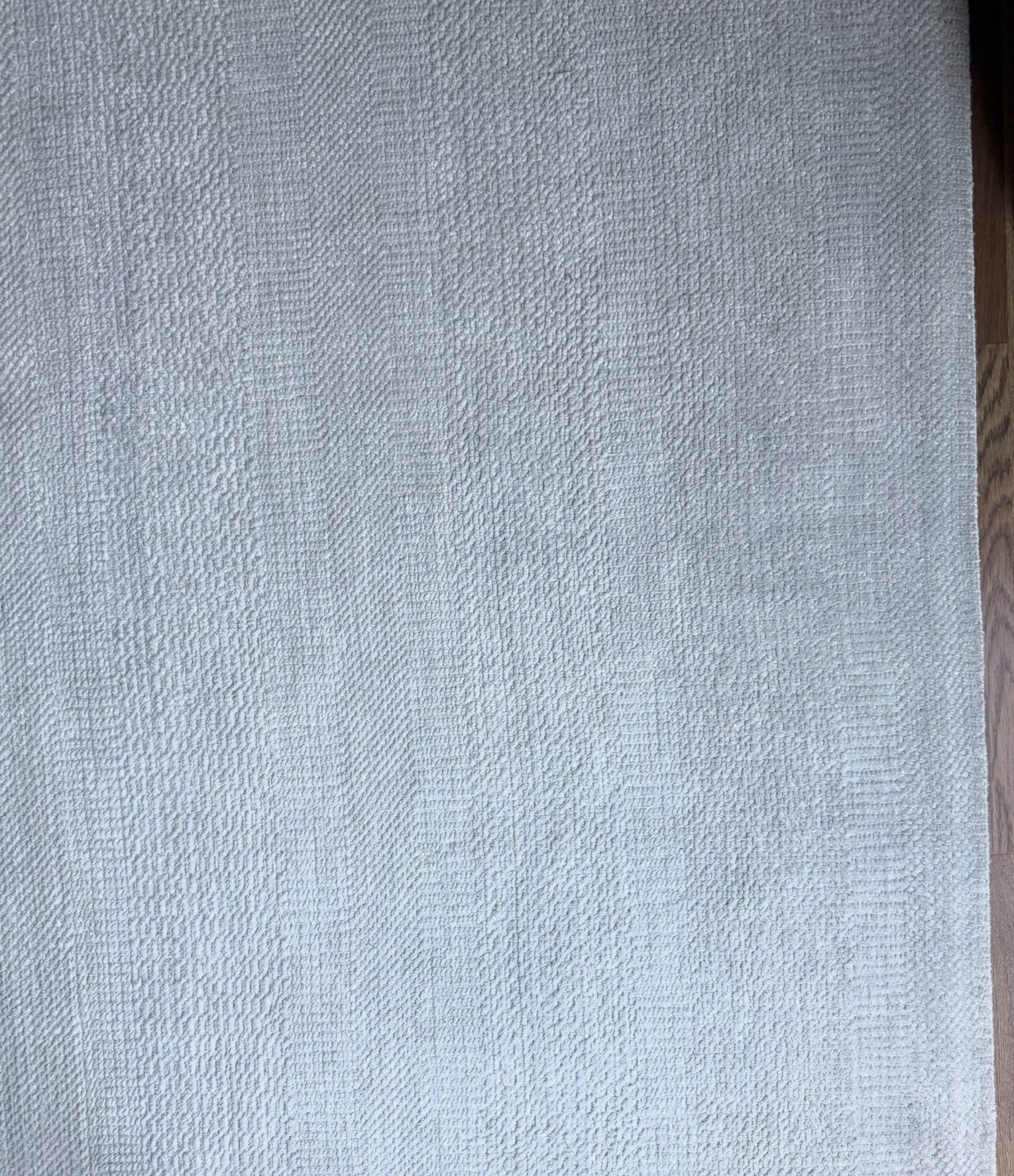 Area Rug — Primary Bedroom, 251 Oak Ridge Ave